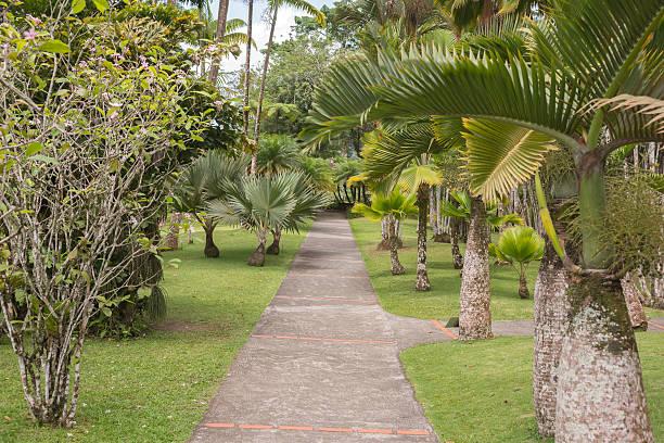 walk in the Park, Martinique, garden of Balata